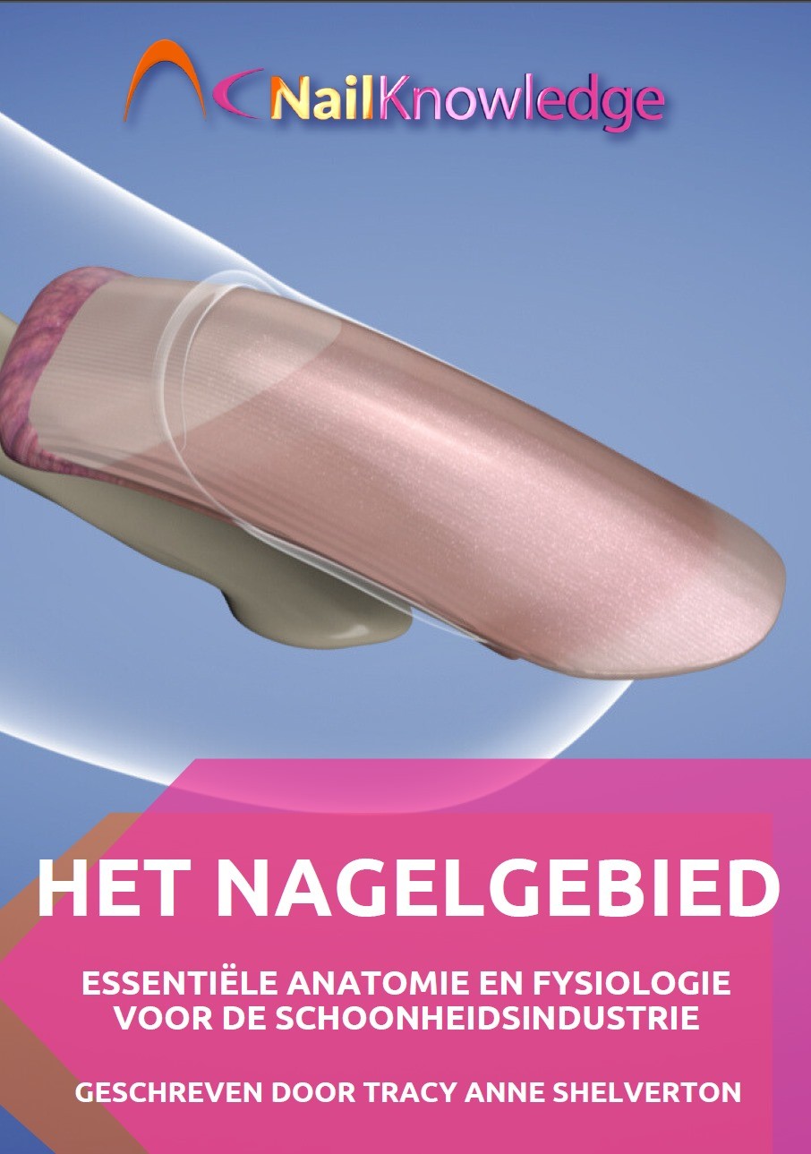 Het Nagelgebied